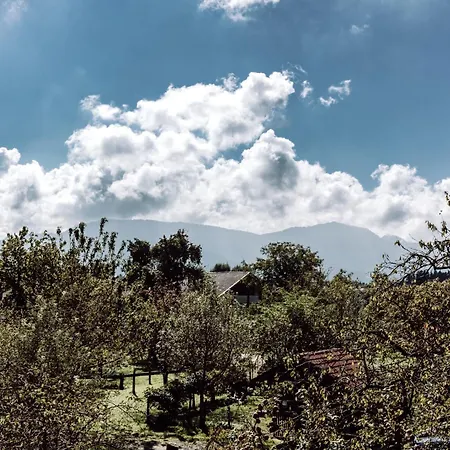 بيت للعطل Haus Horizont *